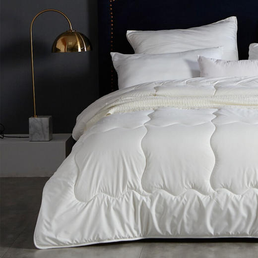 梦洁家纺  磨毛被芯双人    新西兰羊毛被-四季被 200*230 1000g 商品图1