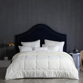 梦洁家纺  磨毛被芯双人    新西兰羊毛被-四季被 200*230 1000g