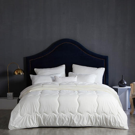 梦洁家纺  磨毛被芯双人    新西兰羊毛被-四季被 200*230 1000g 商品图0