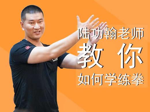 第三课：如何避免劲力上到头部，伤害大脑 商品图0