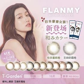 「日抛」Flanmy 中文进口版彩色隐形眼镜 10片装