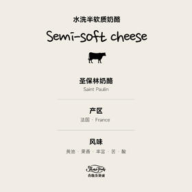 伊斯尼圣保林干酪