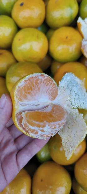 XZG-东江湖蜜橘（甜） 5斤+-0.05/份～24.98