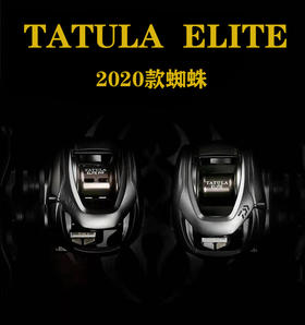 达瓦DAIWA 2020款TATULA ELITE蜘蛛精英版路亚竞技水滴轮