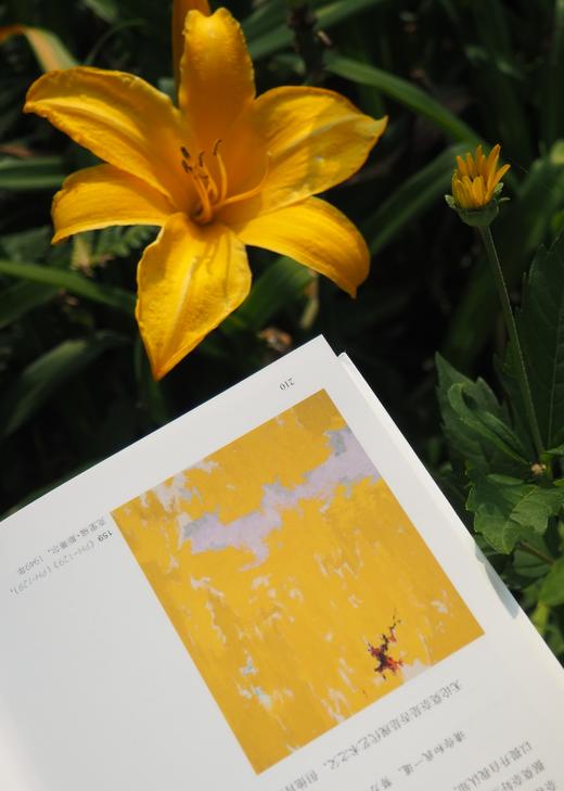 《莫奈》（泰晤士哈德逊世界艺术巡礼） 商品图6