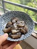 大连野生即食海参1斤装<10根> 免泡发解冻即食 自然慢生长 肉厚弹牙 富含营养 黄金北纬39度优质产区 商品缩略图8