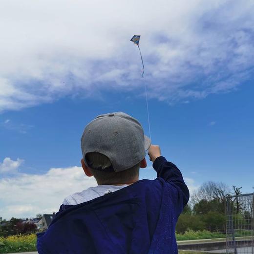 DJECO风筝 - 一只注定出现就全场C位的风筝（BJQ专用链接） 商品图6