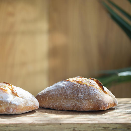 洛斯提克 商品图1