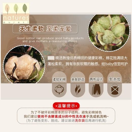 【云粉节】9楼英国natures purest（天然素彩）婴儿宝宝长裤彩棉纯棉儿童秋冬护肚裤丨吊牌价：398元 商品图4