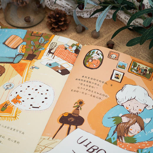 密码破译员夏洛特 商品图2