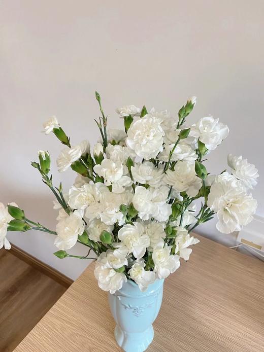 多头康乃馨（5枝）颜色随机先到先得 商品图4