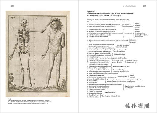 Samuel van Hoogstraten's Introduction to the Academy of Painting; or  The Visible World (Texts & Doc 商品图1