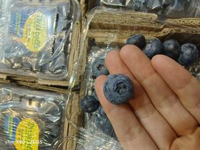 XZG-怡颗莓 智利蓝莓16+ 125g/盒～15.8元 ,   12盒/箱～168元