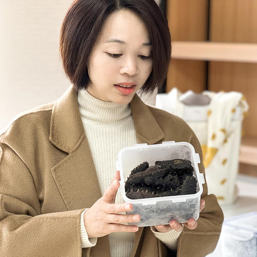 【长岛野生优质拉缸盐海参】圈海五年未动 天然生态海域！拉缸盐半湿海参 可泡发三倍以上 商品图1