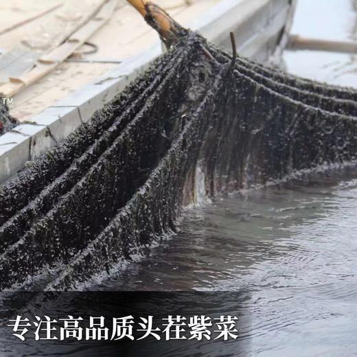 丨有机丨头茬紫菜 紫菜妈妈，中国紫菜之乡霞浦县 商品图5