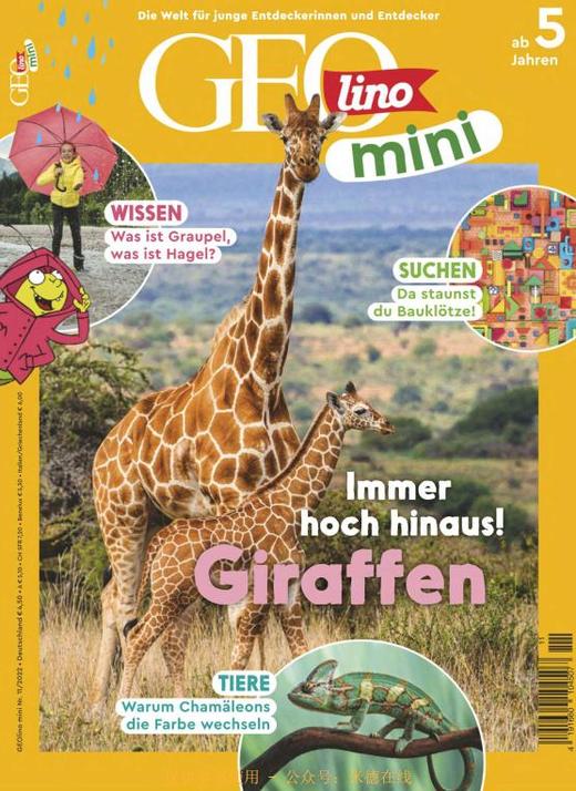 Geomini - 2022.11 商品图0