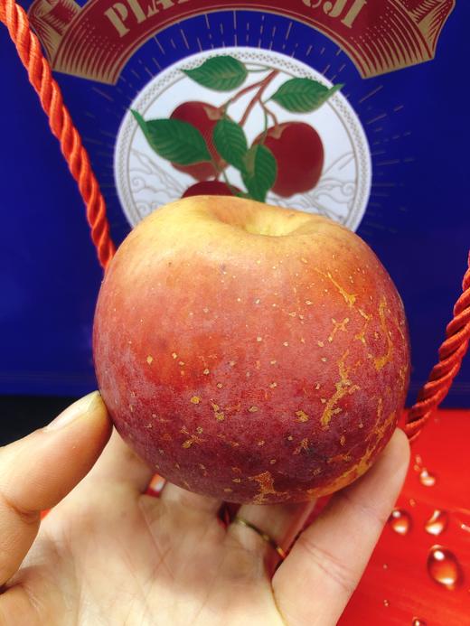 蓝箱苹果一箱（拼团） 商品图1