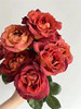 同城甄选咖啡时间玫瑰花10支 商品缩略图3