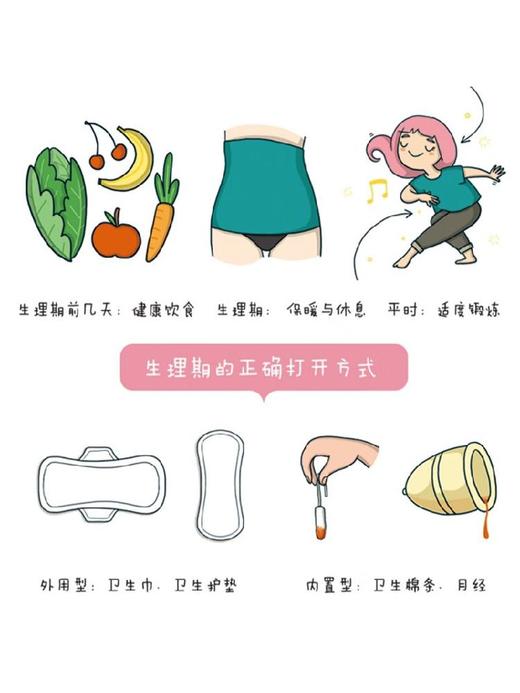 生理期很酷 安娜·萨尔维亚 著 科普百科 商品图2