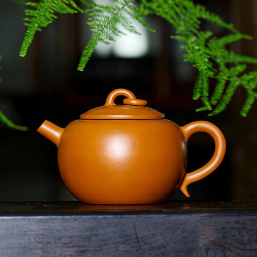 玄同陶壶 商品图1