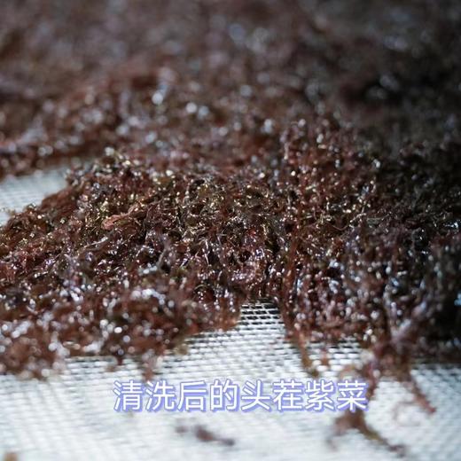 丨有机丨头茬紫菜 紫菜妈妈，中国紫菜之乡霞浦县 商品图2