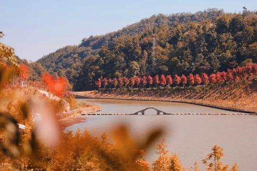 户外@【岭南红叶】赏岭南醉美红枫、打卡高山牧场、霍比特屋、天空之境1天 商品图0