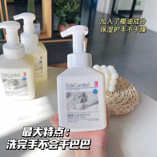 【蔬果园洗手液3瓶装】直接出泡泡，泡沫细腻，清洁力好，还有淡淡的茶香味，很好闻！不含酒精，植物成分宝宝都能用！好好洗手，远离细菌！ 商品图2
