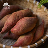 生态清远红薯 | 合作生产* Ecological sweet potato | Coproduction 商品缩略图5