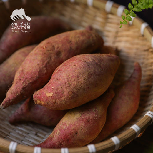 生态清远红薯 | 合作生产* Ecological sweet potato | Coproduction 商品图5
