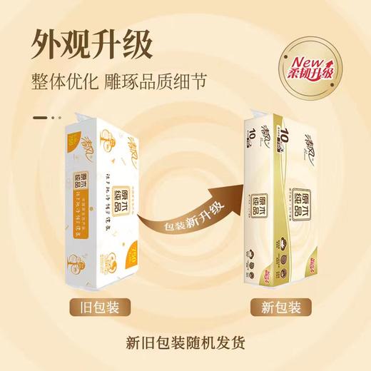 清风无芯卷纸卫生纸纸巾厕纸750克/提1提10卷3层多省包邮新老包装 商品图4