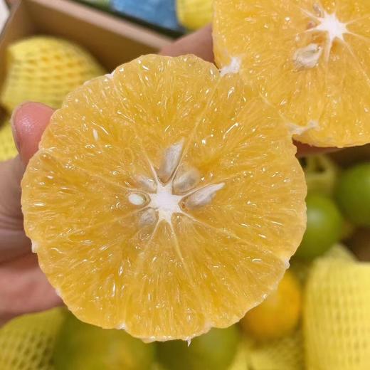 云南哀牢山青皮冰糖橙4/9斤装（后期果皮会转变成黄色发货）  八甜2酸 商品图6