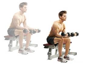 进阶了！完整的哑铃手臂锻炼教程