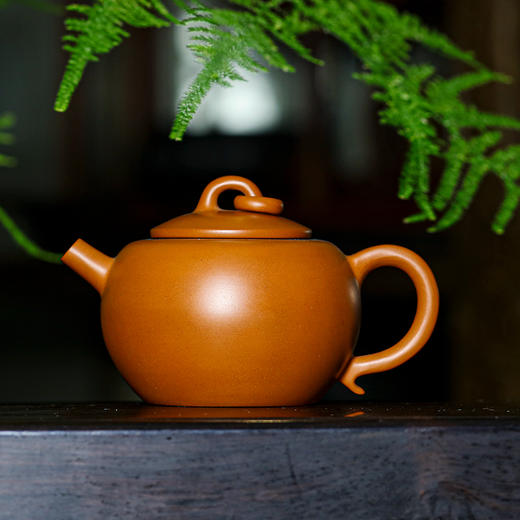 玄同陶壶 商品图1