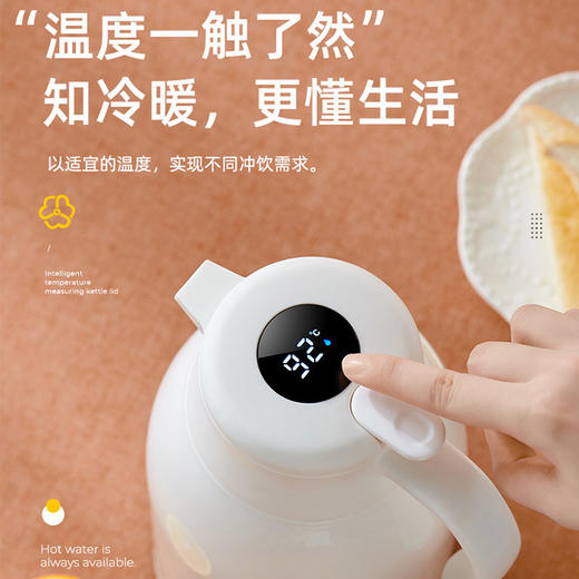 天喜玻璃泡茶壶1500ml  天喜北欧家用显温保温水壶1000L 半球不锈钢电热水壶 商品图3