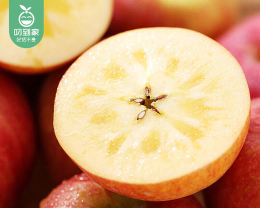 【预售-12月31日配送】青颗云南昭通高原丑苹果（70-80#）/1箱（1.75kg±100g） 商品图1