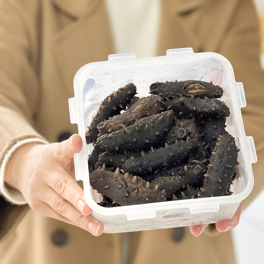 【长岛野生优质拉缸盐海参】圈海五年未动 天然生态海域！拉缸盐半湿海参 可泡发三倍以上 商品图7