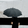 XAG 极飞农潮×蕉下 晴雨伞 商品缩略图5