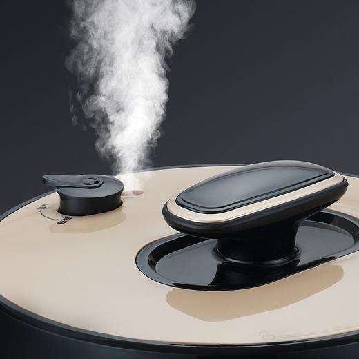 Westinghouse西屋多功能电压力锅 5L WYL-0501 商品图3