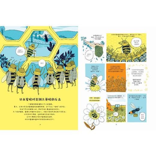 【9岁+】大自然的肖像——万物有智慧 商品图3