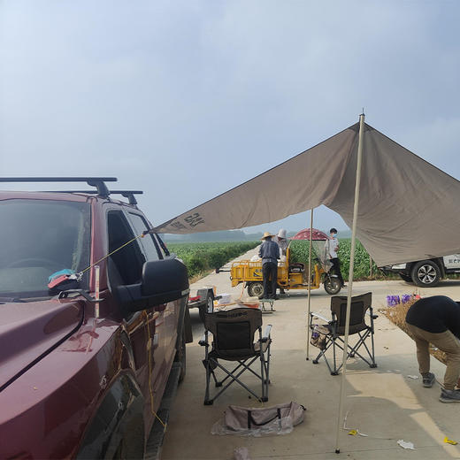 XAG 户外露营天幕 商品图4