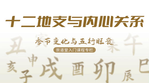 十二地支与内心关系 商品图0