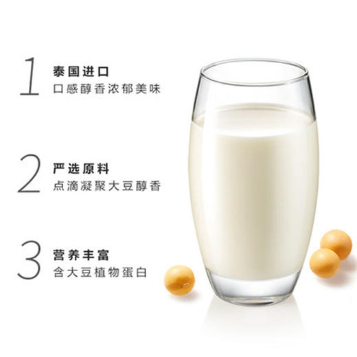 力大狮原味豆奶饮料1L 商品图3