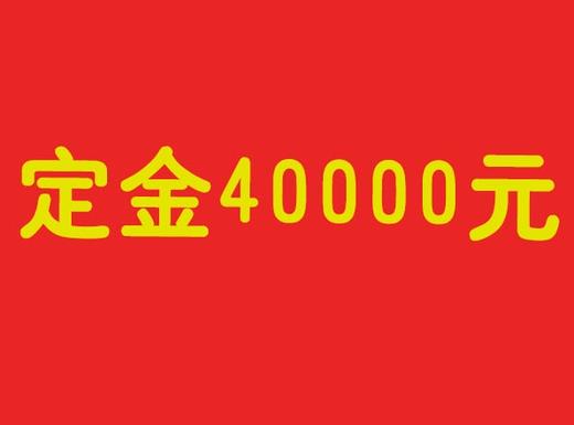 定金400000元 商品图0