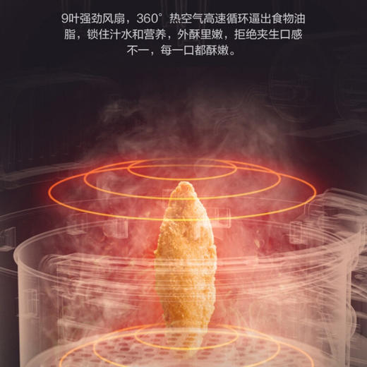 豹牌  空气炸锅  3.0L  立体空气热对流包裹式烘烤    BP-AF251 商品图5