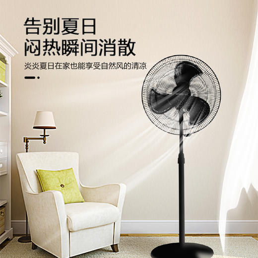 G08-45D商用扇 商品图2
