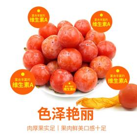 小蜜柿12粒 约500g/盒