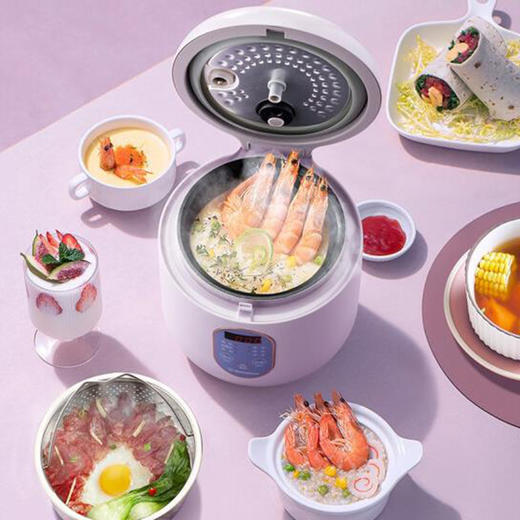 Westinghouse西屋多功能迷你电饭煲 2L WRC-0212A 商品图3