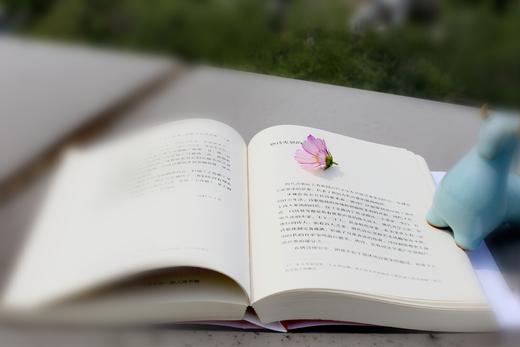 【三联书店 X 诗词世界 联合推荐】《名家谈诗词》系列（全10册）叶嘉莹 主编 商品图8