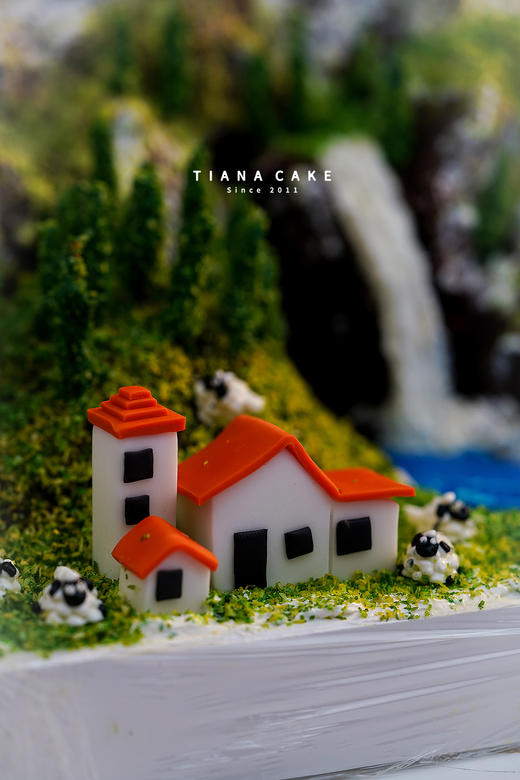 【立体红丝绒造型蛋糕】微景观蛋糕 一起看世界 商品图2