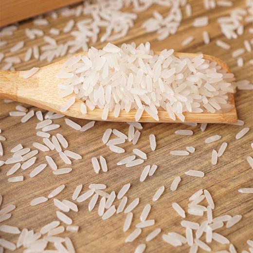 【韶关帮扶】千年雄州米香粘 5KG 商品图2